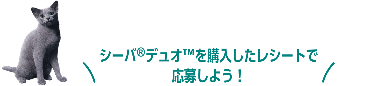 シーバ®デュオ™を購入したレシートで応募しよう！!