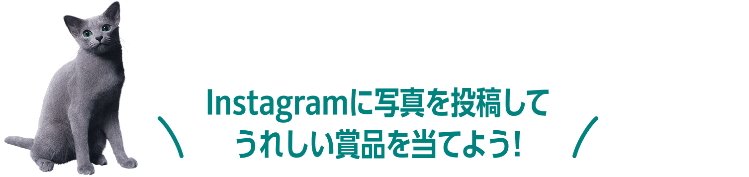 Instagramに写真を投稿してうれしい賞品を当てよう!