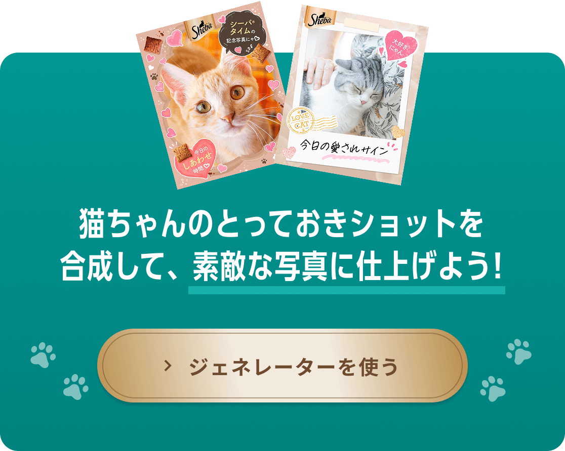 猫ちゃんのとっておきショットを合成して、素敵な写真に仕上げよう!
