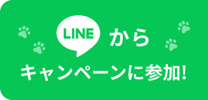 LINEからキャンペーンに参加!