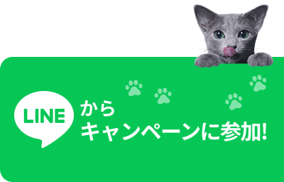 LINEからキャンペーンに参加!